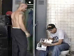 teasers in the loo