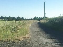 Down the lane in the Sun