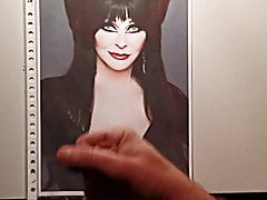 Elvira - Mistress of the Dark Cum Tribut 3