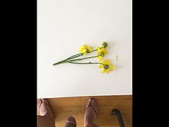 flowers for lee guerrero, take 3
