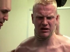 Dumb Str8 and Fascist