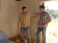 NextDoorStudios Chief Catches Employees Romping on the Farm