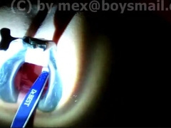 Investigating and cleaning a hairless wild arse.