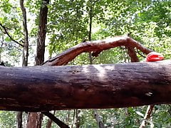 ... nackt im Wald am Baumstamm !