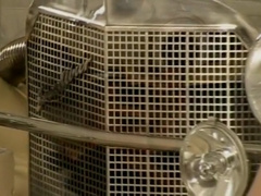 Beautiful Gentleman Is Standing On The Knees And Suc