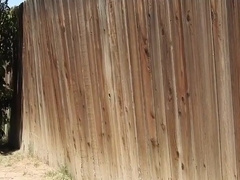 A father parading around bare in his backyard