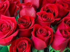 Steamy scenes with big booty in gay action featuring Desi Mazaa