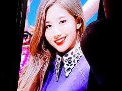 Cherry Bullet Yuju cum tribute