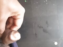INDIAN COCK