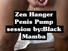 Zen Hanger - Wood Pump Enlargement