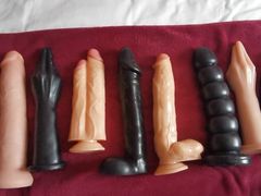 FAVORITE TOYS OF KITTY