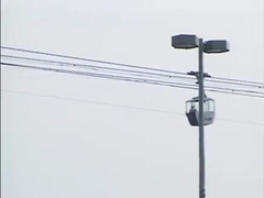 Bonking Berlin Bastards