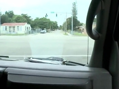 Wild dong riding inside a car