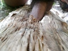 Nature Sex.. Sex with Banana Tree. PART....5