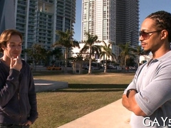 This Pretty Torn Fellow goes wild with a hot, ripped dude