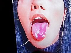 Cumtribute - Pedido #5