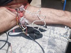 Penis Estim