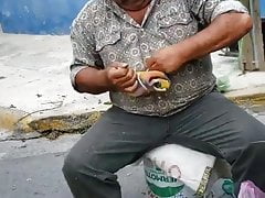 Gordito 1