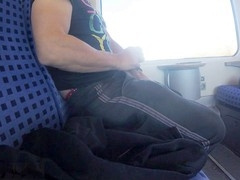 Wild public wank in the middle of the day on a train, and it got risky a couple of times