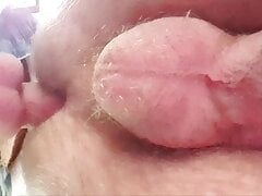breeded by Bi Guy