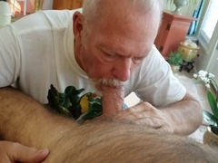 Oral job, furry-body, big-cock