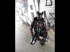 Doggy Lias go walkies