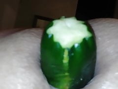 Fucking my ass with a cucumber