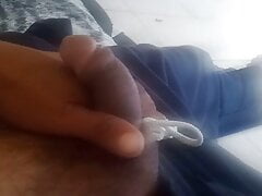 Peneestar