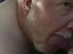 Grandpa bear on his knees sucking cock