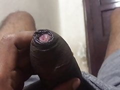 My pre cum