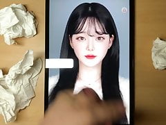 korean friend cumtribute 6