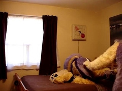 Fursuit sex 13