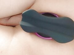 Pika 2021.04.30 anal plug