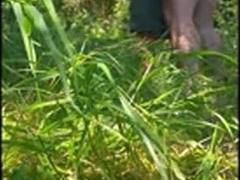 Showcasing boys and bare cruising