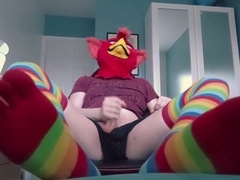 Murrsuit, cum, rainbow