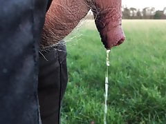 Outdoor pissing - 1 of 2