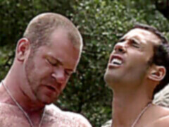 Gay muscle, mięśniaki, queer