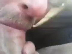 Guy blows me in the car spills the cum and licks it up