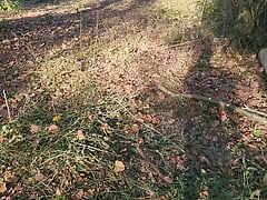 Walking near the highway