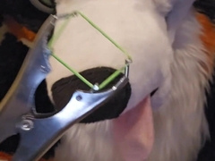 Elastrator Have fun with @AngryBarks Supreme Studs Get Neutered!