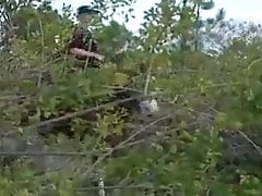 jg wild rangers