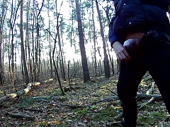 Im Wald 26.1.2017