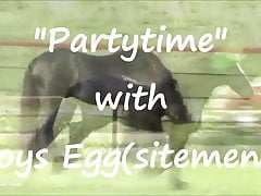 Roys Egg(sitement).