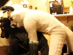 Fursuit sex 17