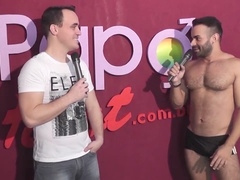 Big-cock, pau-brasil, solo