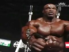 Muscle Gods