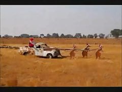 Aussie Jingle Bells.