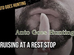 Cruising At A Rest Stop