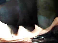 WWE Stephanie McMahon cum tribute (In english)