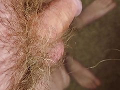 Long pubic hair